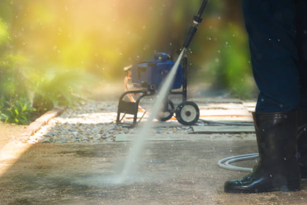 Animal Enclosure Cleaning in Lyncourt, NY
